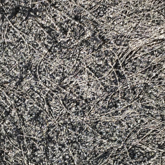 Vue’ Point Medium Petite Eye Lash Cow Neck - Picture 3 of 3